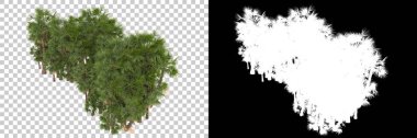 Orman beyaz arka planda maskeyle izole edilmiş. 3d görüntüleme - illüstrasyon