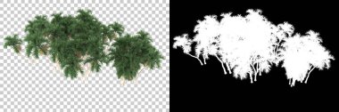Arka planda maskeli tropikal orman. 3d görüntüleme - illüstrasyon