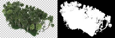 Arka planda maskeli tropikal orman. 3d görüntüleme - illüstrasyon