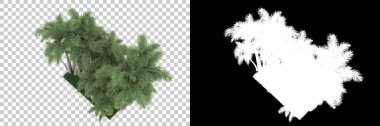Arka planda maskeli tropikal orman. 3d görüntüleme - illüstrasyon