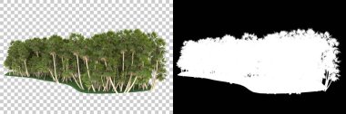 Orman arka planda maskeyle izole edilmiş. 3d görüntüleme - illüstrasyon