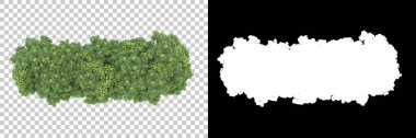 Orman arka planda maskeyle izole edilmiş. 3d görüntüleme - illüstrasyon