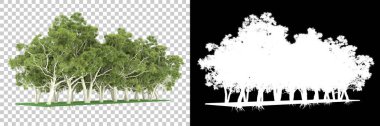 Orman arka planda maskeyle izole edilmiş. 3d görüntüleme - illüstrasyon