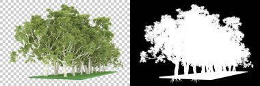Orman arka planda maskeyle izole edilmiş. 3d görüntüleme - illüstrasyon