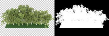 Orman arka planda maskeyle izole edilmiş. 3d görüntüleme - illüstrasyon