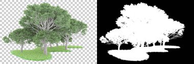 Orman arka planda maskeyle izole edilmiş. 3d görüntüleme - illüstrasyon
