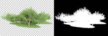 Orman arka planda maskeyle izole edilmiş. 3d görüntüleme - illüstrasyon
