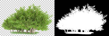 Orman arka planda maskeyle izole edilmiş. 3d görüntüleme - illüstrasyon