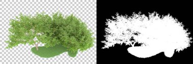 Orman arka planda maskeyle izole edilmiş. 3d görüntüleme - illüstrasyon