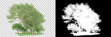 Orman arka planda maskeyle izole edilmiş. 3d görüntüleme - illüstrasyon