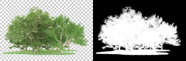 Orman arka planda maskeyle izole edilmiş. 3d görüntüleme - illüstrasyon