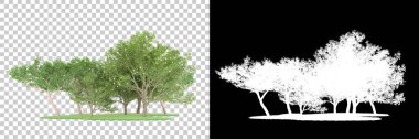 Orman arka planda maskeyle izole edilmiş. 3d görüntüleme - illüstrasyon