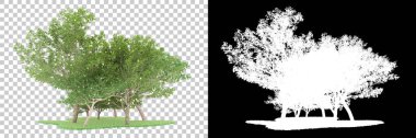 Orman arka planda maskeyle izole edilmiş. 3d görüntüleme - illüstrasyon