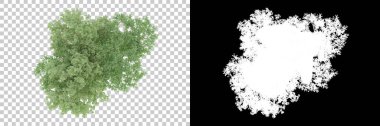 Orman arka planda maskeyle izole edilmiş. 3d görüntüleme - illüstrasyon