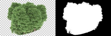 Orman arka planda maskeyle izole edilmiş. 3d görüntüleme - illüstrasyon