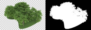 Orman arka planda maskeyle izole edilmiş. 3d görüntüleme - illüstrasyon