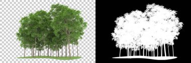 Orman arka planda maskeyle izole edilmiş. 3d görüntüleme - illüstrasyon