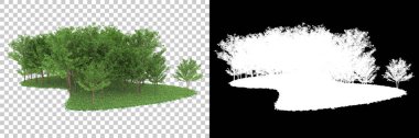 Orman arka planda maskeyle izole edilmiş. 3d görüntüleme - illüstrasyon