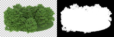 Orman arka planda maskeyle izole edilmiş. 3d görüntüleme - illüstrasyon