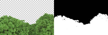 Orman arka planda maskeyle izole edilmiş. 3d görüntüleme - illüstrasyon