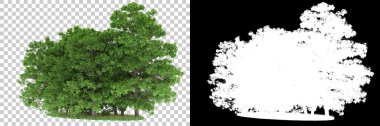 Orman arka planda maskeyle izole edilmiş. 3d görüntüleme - illüstrasyon