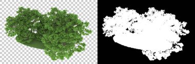 Orman arka planda maskeyle izole edilmiş. 3d görüntüleme - illüstrasyon