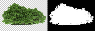 Orman arka planda maskeyle izole edilmiş. 3d görüntüleme - illüstrasyon