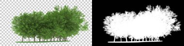 Orman arka planda maskeyle izole edilmiş. 3d görüntüleme - illüstrasyon