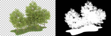 Orman arka planda maskeyle izole edilmiş. 3d görüntüleme - illüstrasyon