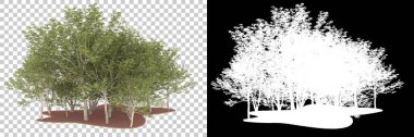 Orman arka planda maskeyle izole edilmiş. 3d görüntüleme - illüstrasyon