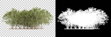 Orman arka planda maskeyle izole edilmiş. 3d görüntüleme - illüstrasyon