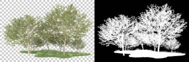 Orman arka planda maskeyle izole edilmiş. 3d görüntüleme - illüstrasyon