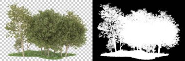 Orman arka planda maskeyle izole edilmiş. 3d görüntüleme - illüstrasyon