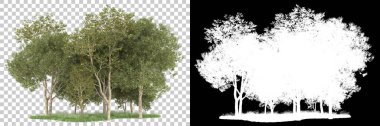 Orman arka planda maskeyle izole edilmiş. 3d görüntüleme - illüstrasyon