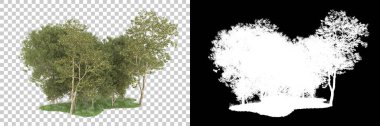 Orman arka planda maskeyle izole edilmiş. 3d görüntüleme - illüstrasyon