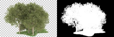 Orman arka planda maskeyle izole edilmiş. 3d görüntüleme - illüstrasyon
