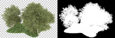 Orman arka planda maskeyle izole edilmiş. 3d görüntüleme - illüstrasyon
