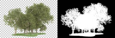 Orman arka planda maskeyle izole edilmiş. 3d görüntüleme - illüstrasyon