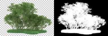 Orman arka planda maskeyle izole edilmiş. 3d görüntüleme - illüstrasyon
