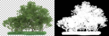 Orman arka planda maskeyle izole edilmiş. 3d görüntüleme - illüstrasyon