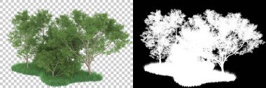 Orman arka planda maskeyle izole edilmiş. 3d görüntüleme - illüstrasyon