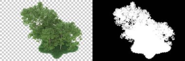 Orman arka planda maskeyle izole edilmiş. 3d görüntüleme - illüstrasyon