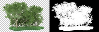 Orman arka planda maskeyle izole edilmiş. 3d görüntüleme - illüstrasyon