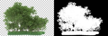 Orman arka planda maskeyle izole edilmiş. 3d görüntüleme - illüstrasyon