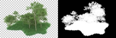 Orman arka planda maskeyle izole edilmiş. 3d görüntüleme - illüstrasyon