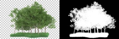 Orman arka planda maskeyle izole edilmiş. 3d görüntüleme - illüstrasyon