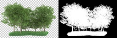 Orman arka planda maskeyle izole edilmiş. 3d görüntüleme - illüstrasyon