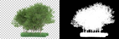 Orman arka planda maskeyle izole edilmiş. 3d görüntüleme - illüstrasyon