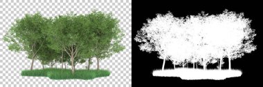 Orman arka planda maskeyle izole edilmiş. 3d görüntüleme - illüstrasyon