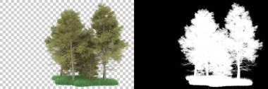 Orman arka planda maskeyle izole edilmiş. 3d görüntüleme - illüstrasyon